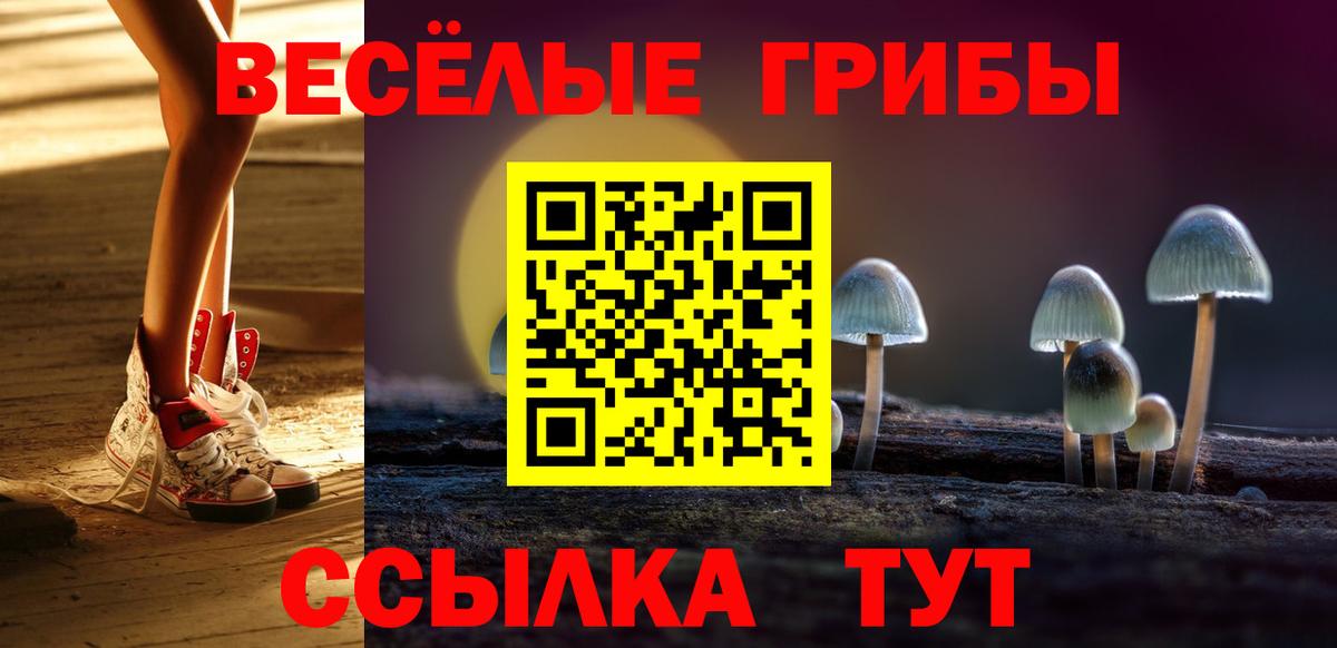 Псилоцибиновые грибы Psilocybe  Галлюциногенные грибы Magic Shrooms  Вход с VPN  Серов 